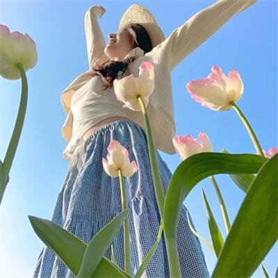 陆昭昭的刺客笔记